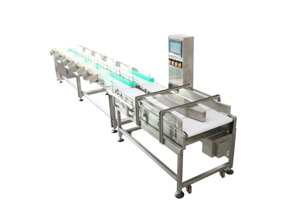 什么因素會影響全自動稱重機的精度?