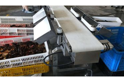 自動化分揀有哪些形式